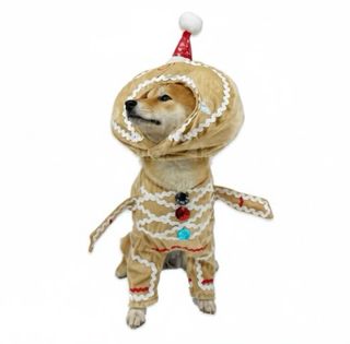 Disfraz Perro Jengibre Navideño Talla Única（S/M/L）