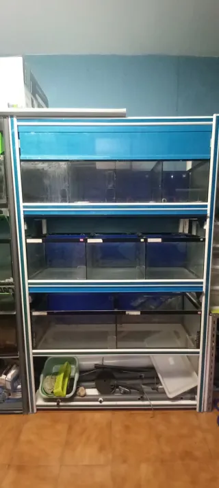 Batería de acuarios 3 niveles
