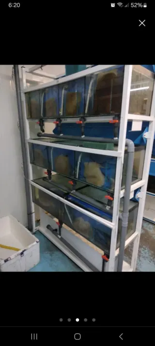 Batería de acuarios 3 niveles