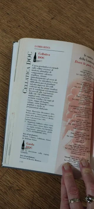 Andare per vini. Tutti i vini DOC e DOCG d'Itli...