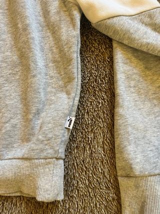 Sudadera Puma Gris Y2K Unisex