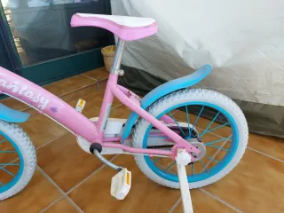 Bicicleta infantil rosa Fantasy 16
