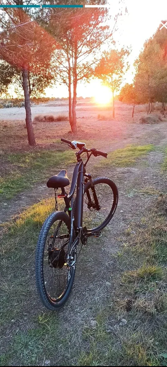 Bicicleta Eléctrica 29" de Montaña. CHOLLAZO!!!