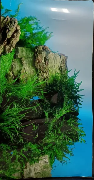 Plantas Decoración Plastico Acuario