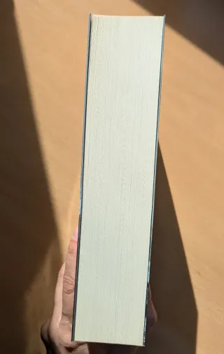 Las crónicas de Shannara 2 (novela fantasía)