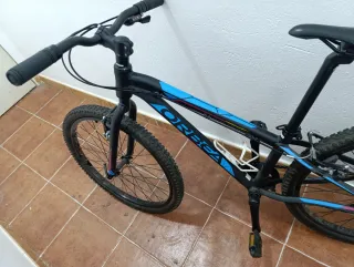 Orbea Junior MX 24 Dirt