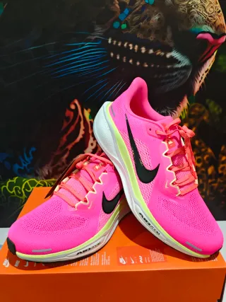 Nike Pegasus 41 CM, Talla 44