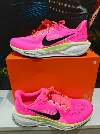 Nike Pegasus 41 CM, Talla 44