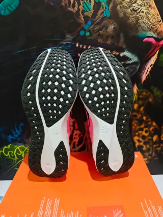 Nike Pegasus 41 CM, Talla 44