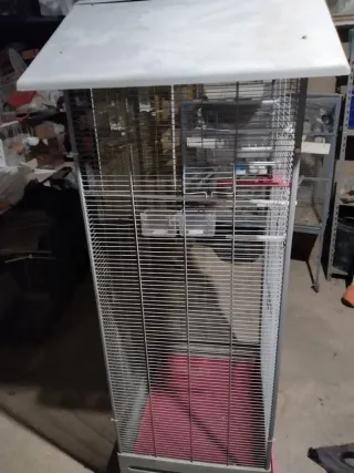 Voladera para ninfas en buen estado