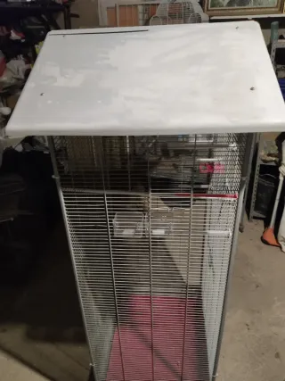 Voladera para ninfas en buen estado