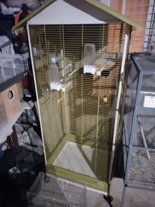 Voladera para ninfas en buen estado