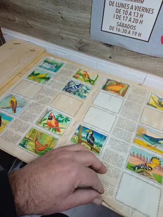 Álbum muy antiguo Animales de todo el mundo