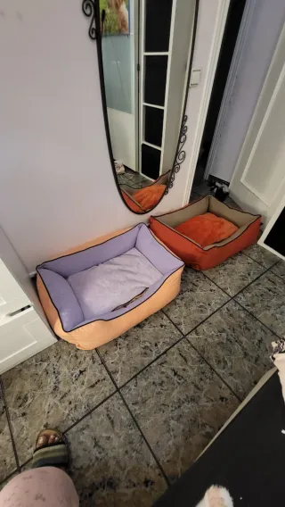 2 Camas para Perros Nuevas