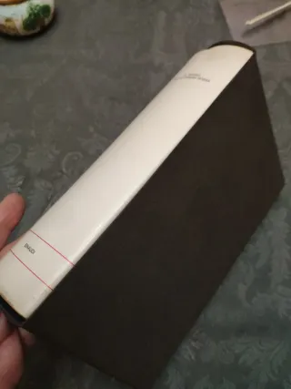 Il sogno della camera rossa