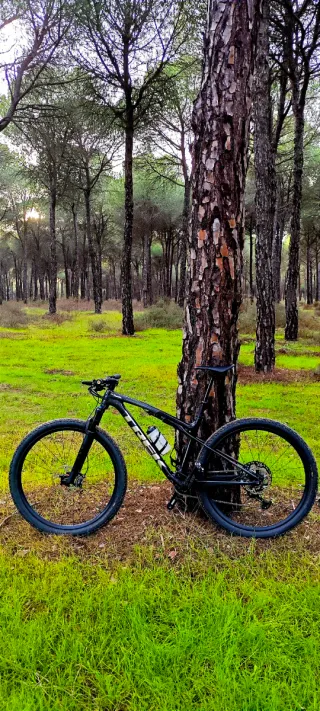 Trek Supercaliber SLR GEN2