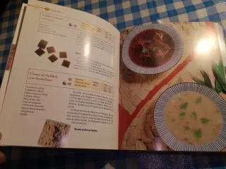 Cocina sana (El Gran Libro Del Gourmet) (Spanis...