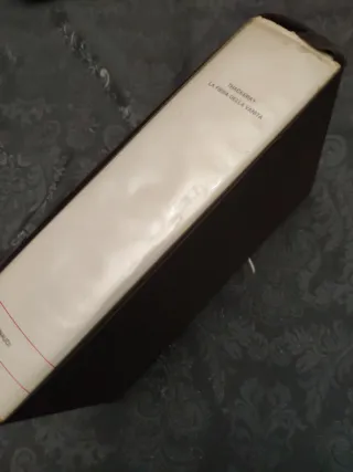 La fiera della vanità