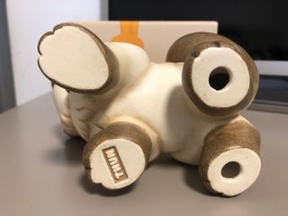 Gatto Ragdoll Thun 2019-2020