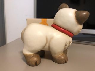 Gatto Ragdoll Thun 2019-2020