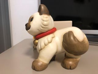 Gatto Ragdoll Thun 2019-2020