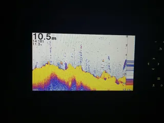 Sonda Garmin striker