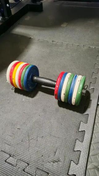 Manubri da 7kg con dischi da 0,5kg