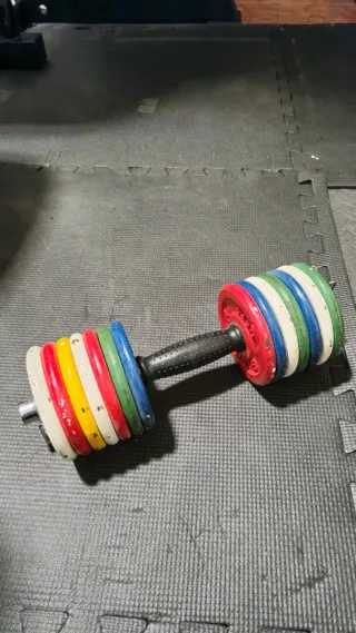 Manubri da 7kg con dischi da 0,5kg