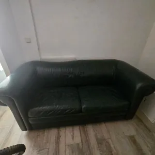 Sofá de 2 plazas y sofá cama regalo