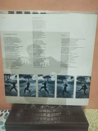 Vinilo LP Sting The Dream of the Blue Turtles