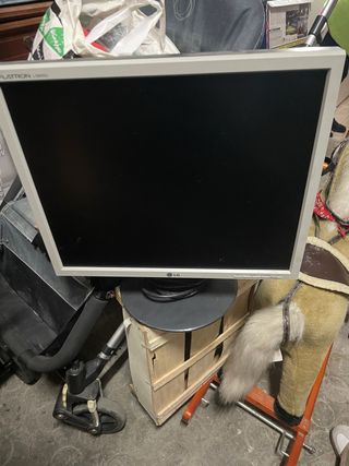 Pantalla LG Flatron L1900S