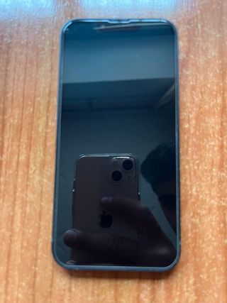 iPhone 13 256GB Negro