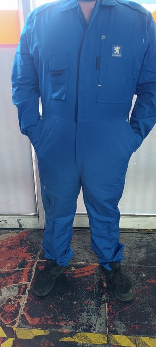 Mono Oficial Peugeot Azul