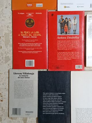 Lote 17 libros en español