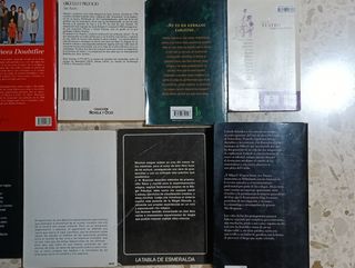 Lote 17 libros en español