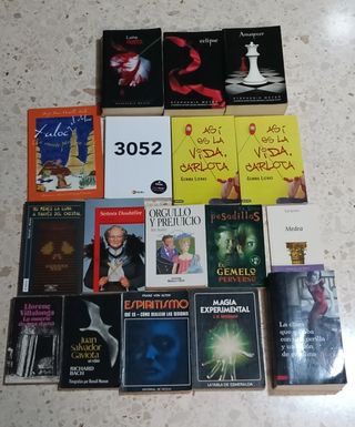 Lote 17 libros en español