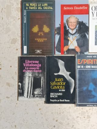 Lote 17 libros en español