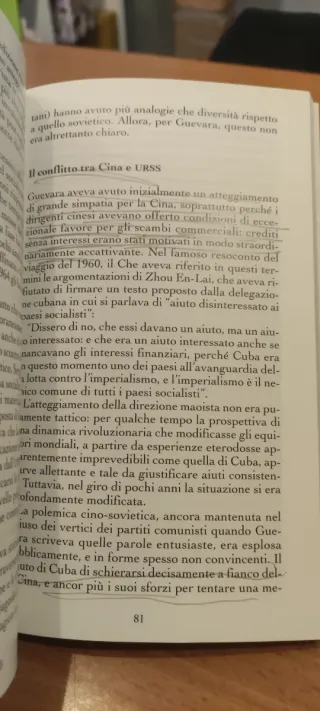 Che Guevara storia e leggenda