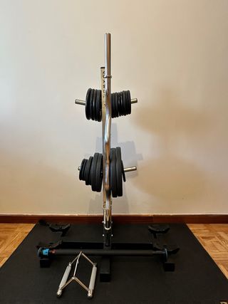 gym casa banco musculación pesas mancuernas