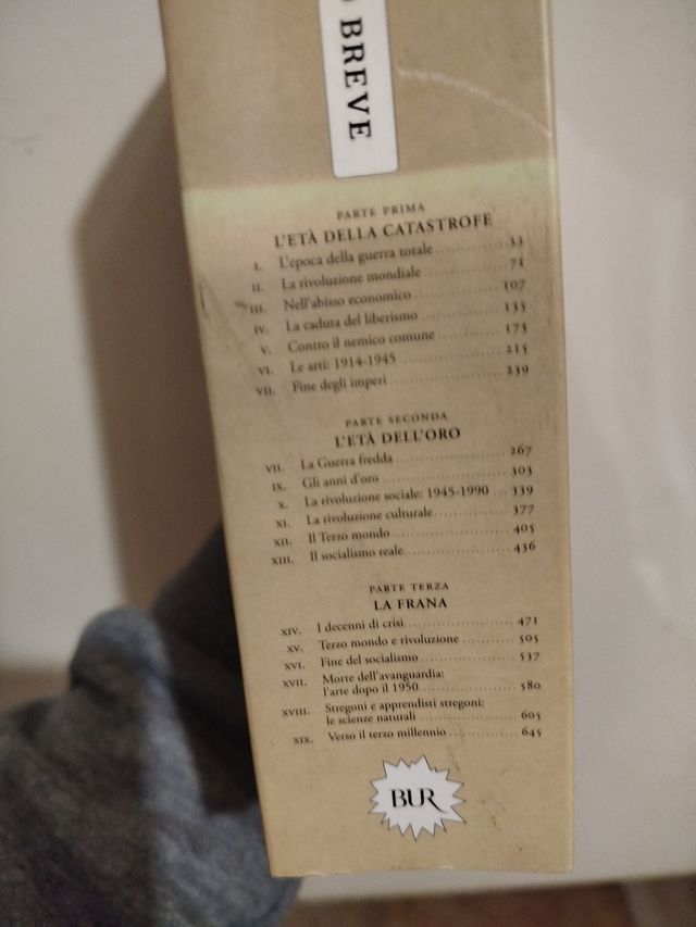 Il secolo breve 1914/1991