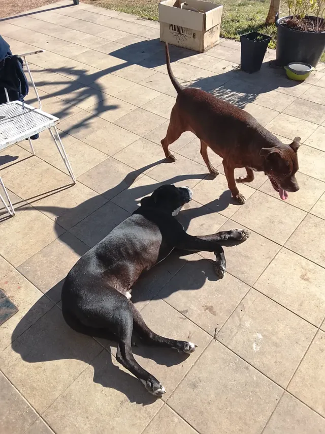 Habitación en Alquile ( preferible Españoles)