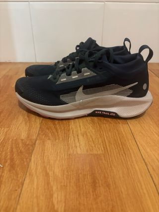 Zapatillas Nike Pegasus Trail 4 GTX Azul