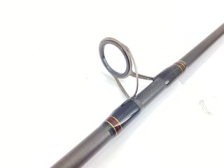 caña de pescar enchufable daiwa rs902hxhfs-af