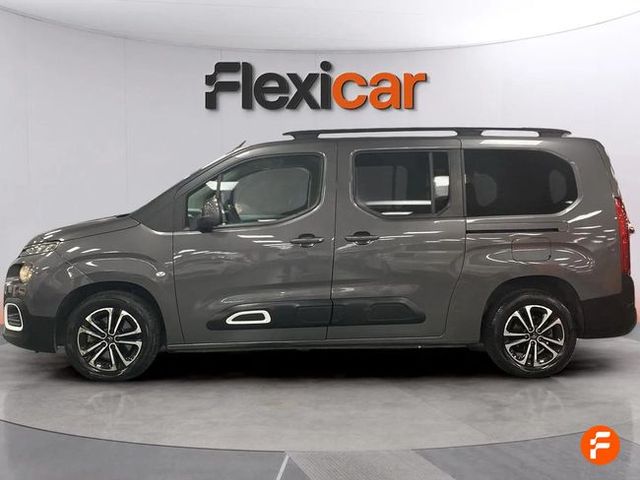 Citroën Berlingo Talla XL BlueHDi 130 S&S EAT8 SHINE