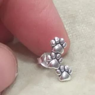 Pendientes trepadores huella  perro plata 925