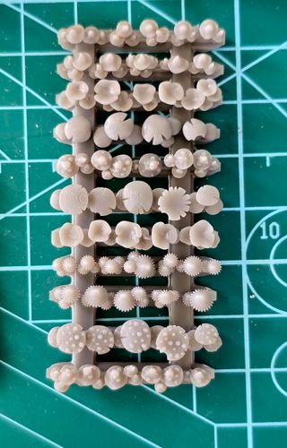 Piante Bits 28mm