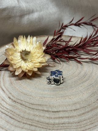 Charm Huella Perro Azul Huesito