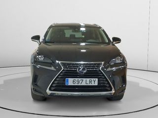 Lexus NX 300 h Business