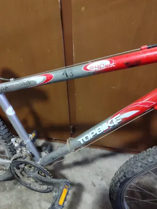 Bicicleta de montaña