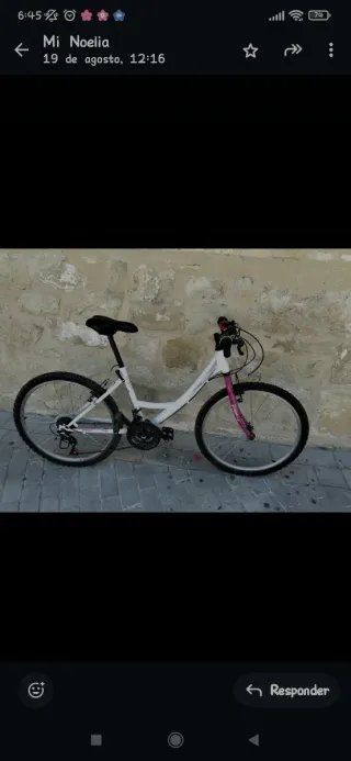Bicicleta Infantil 24